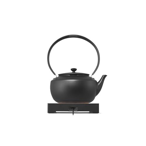 Best Japanese Electric Kettle