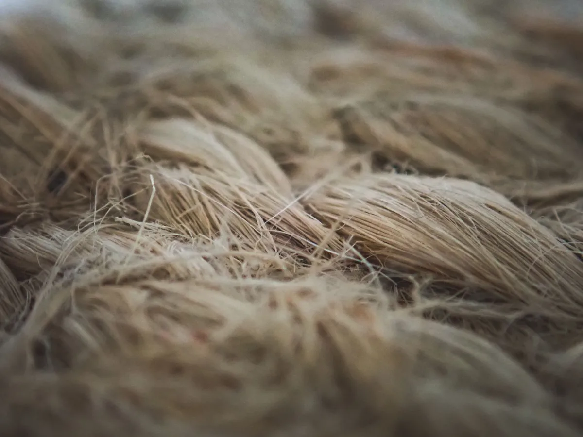 cellulose sponge texture