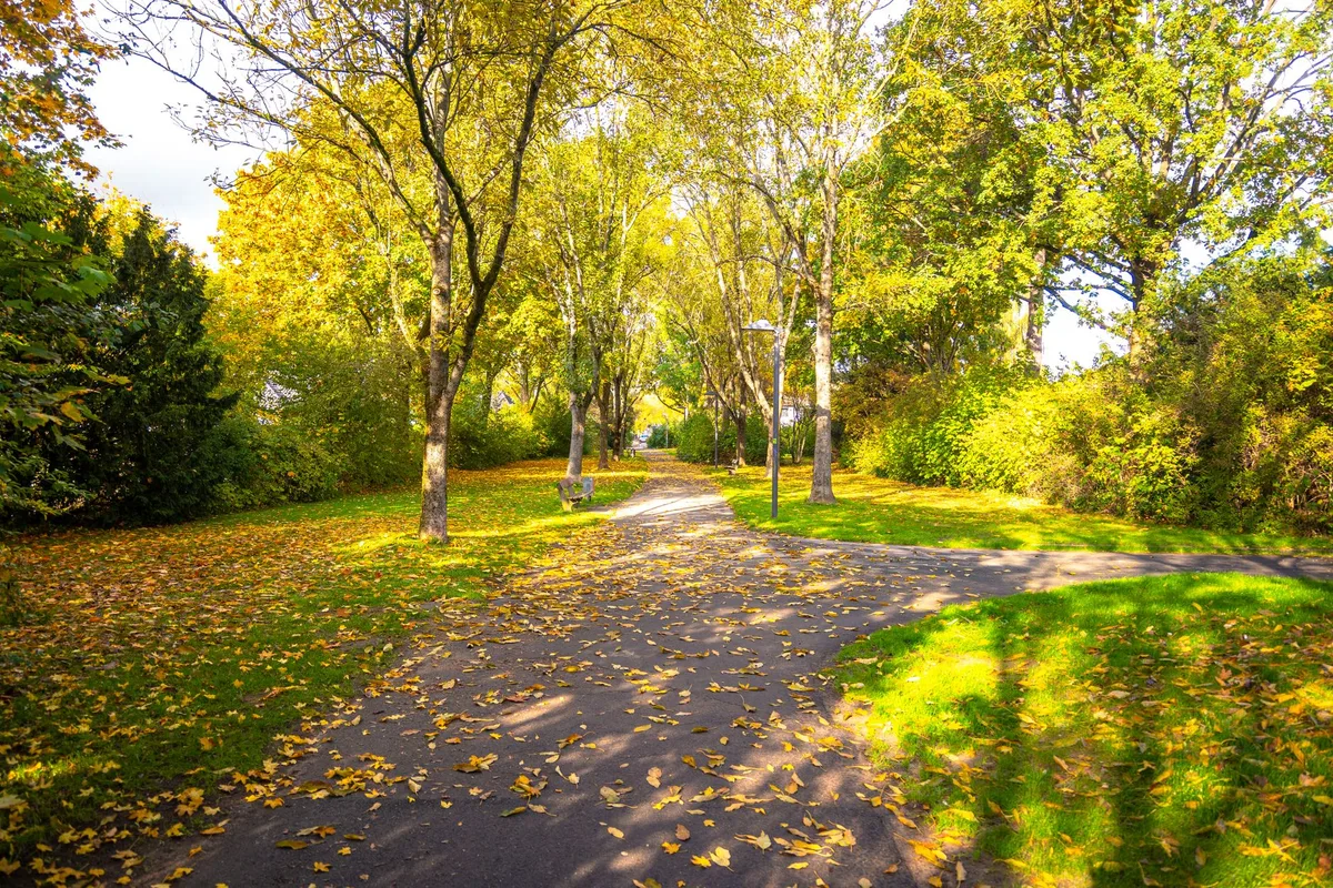 Outdoor Escapes: Parks and Trails