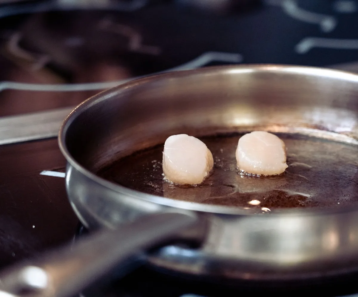 sea scallops vs bay scallops