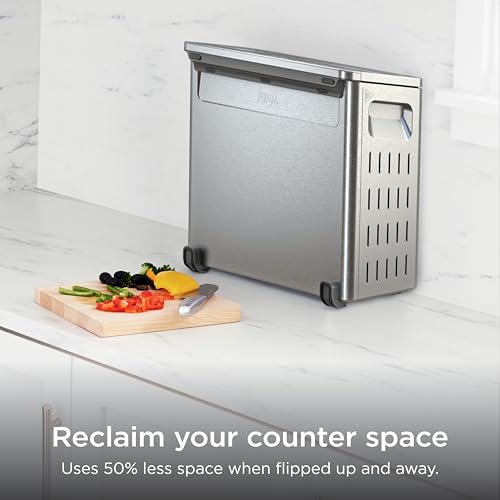Best Frozen Pizza In Air Fryer