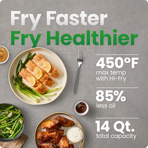 Best Largest Air Fryer
